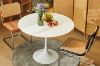 Picture of TULIP Dining Set  - 100cm table with 2 Chairs (White)
